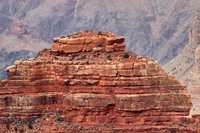 Desert Fortress