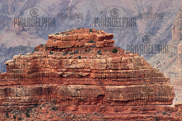 Desert Fortress