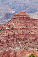 Painted Earth