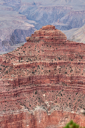 Painted Earth