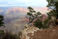 Sentinel at the Rim